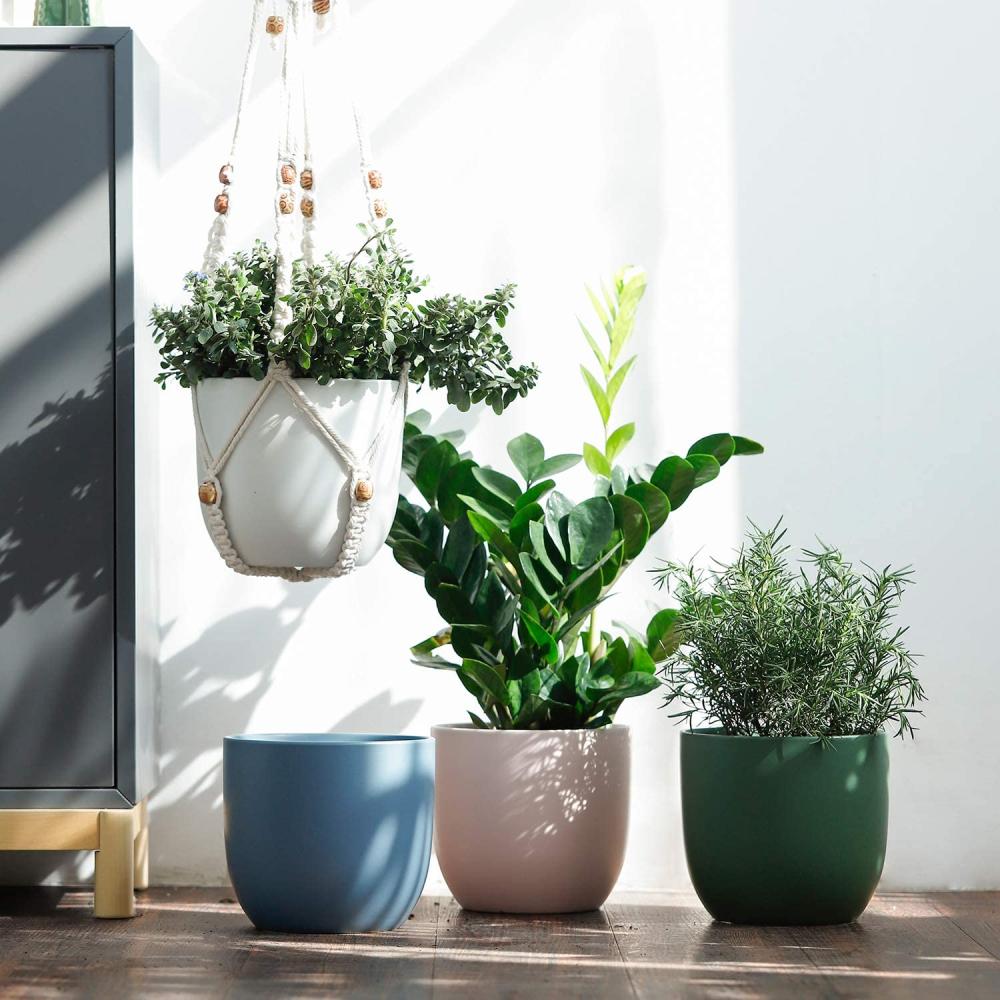home bargains indoor outdoor personalised  online spring ceramic green planter plant pot 