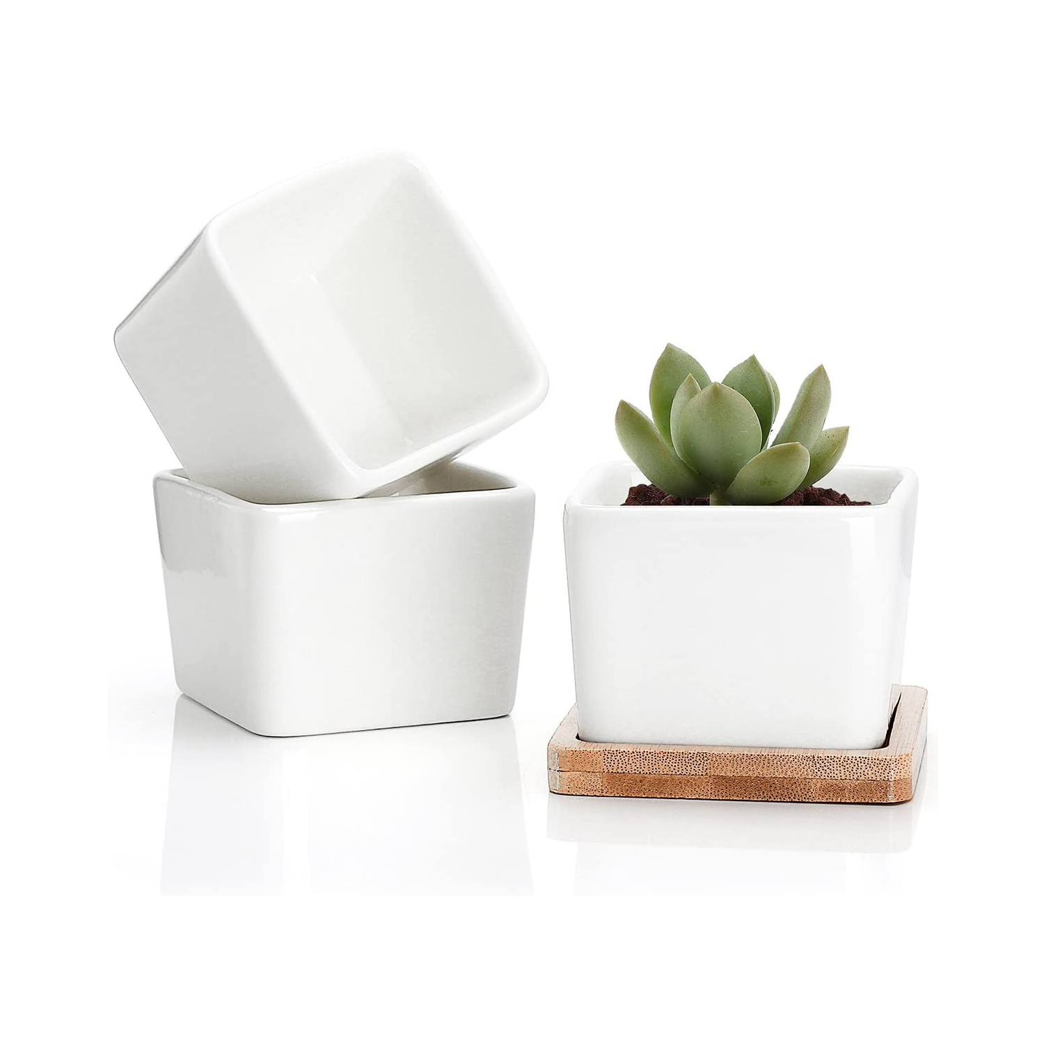 Square Cube Mini Small Ceramic Planter Plant Pot With Bamboo Tray