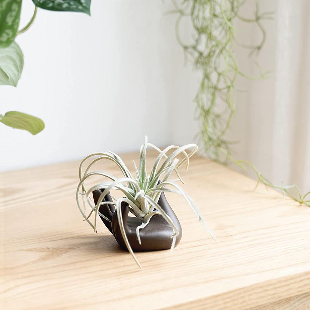 Ceramic Mini Hand Shape Small Container Planter Pot Plant for Desk Table Home Decor 