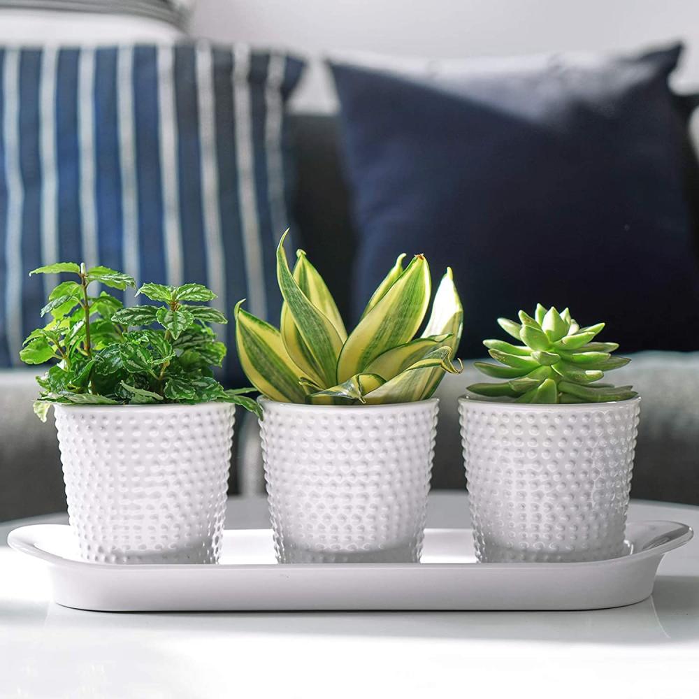 White Garden outdoor Hobnail Textured Kitchen Ceramic Herb Planter Pots 