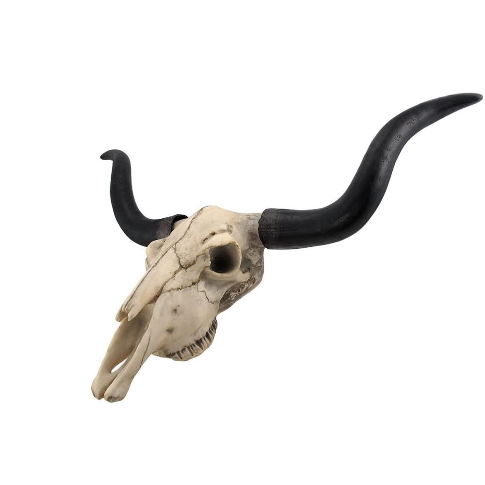 Texas Longhorn Steer Cattle Cow Skull Resin art Wall Mounted Hanging home decor for living room wall