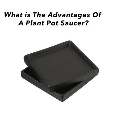 What is the Advantages of a plant pot saucer? Picture