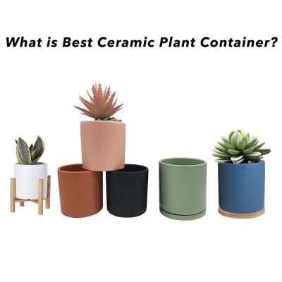 What is Best Ceramic Plant Container? Picture