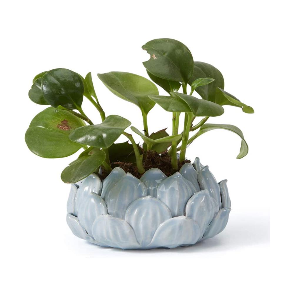eco friendly Pink lotus shaped Ceramic Succulent Planter Flower Pot Indoor Cacuts Pot For Home Decor Table