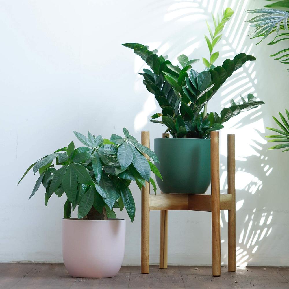 home bargains indoor outdoor personalised  online spring ceramic green planter plant pot 
