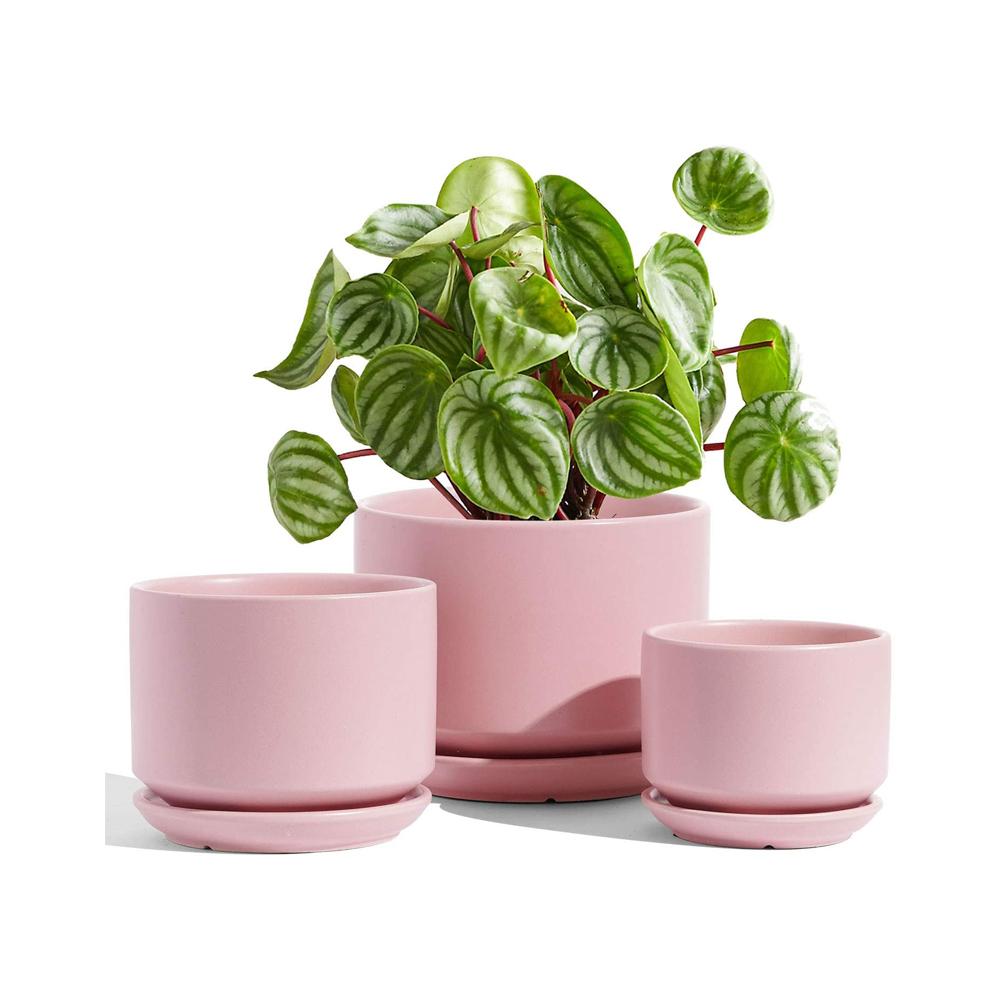 indoor round nordic blue pink modern design ceramic succulent flower pot planter set with tray saucer