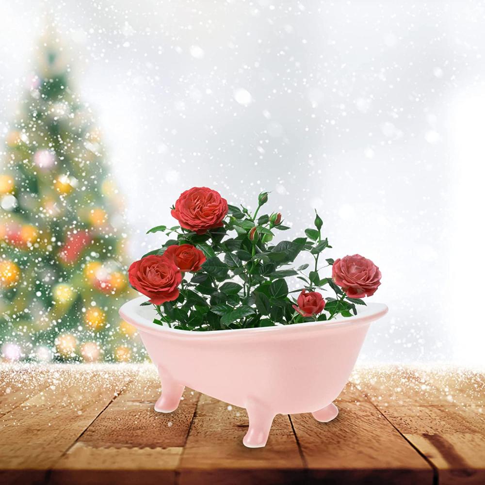 custom shaped bathtub ceramic cachepot flower planter plant pot with artificial cacuts