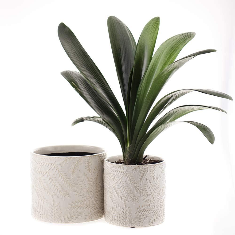 White Leaf Pattern Style Ceramic Planters Garden Flower Pot Indoor and Outdoor Plant Containers