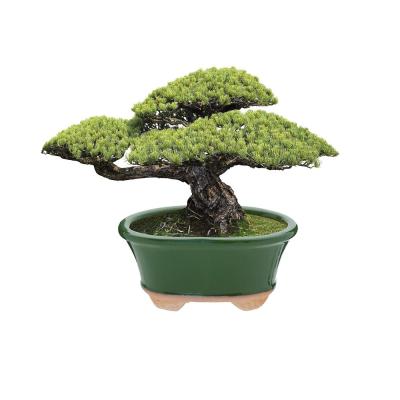 Outdoor Glazed Ceramic Bonsai Succulents Pot Decorative Planter thumbnail