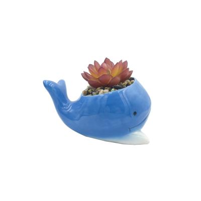 cute cartoon decorative custom animal 3d blue fish whale shaped ceramic planter succulents plant flower pot