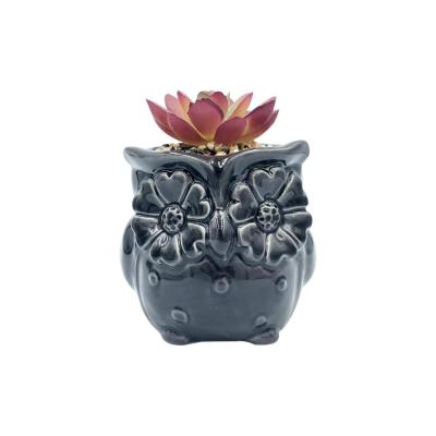 shape small mini ceramic succulent plant planter pot thumbnail