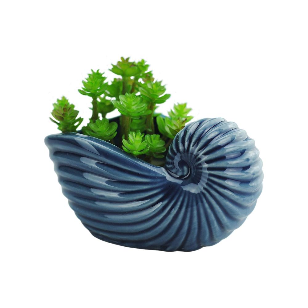 custom shell shaped ceramic succulent planter plant pot supplier